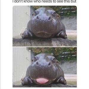 Meet your Posher, Stephen